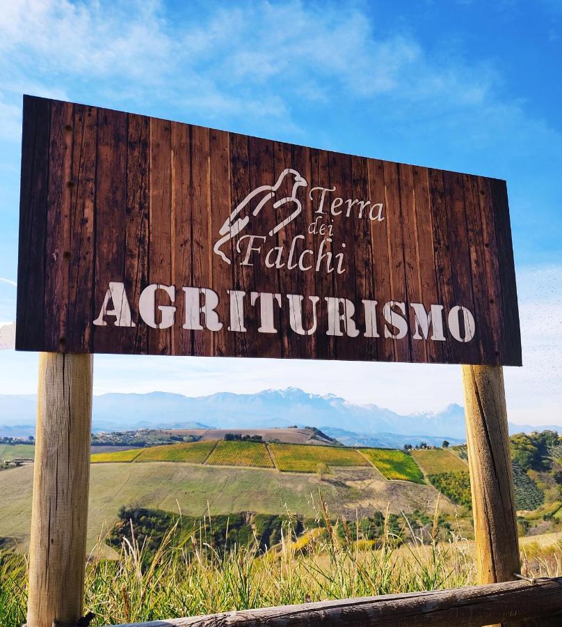Agriturismo Terra Dei Falchi Castilenti Exterior foto